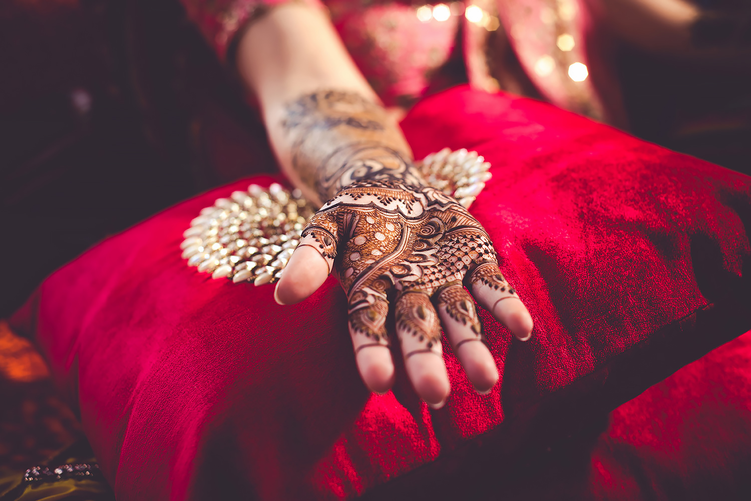 Raghav-&--Banita-1204