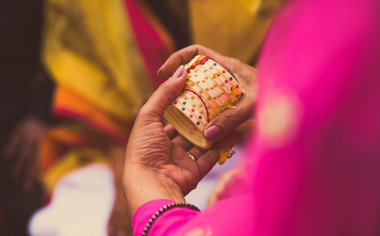 Raghav & Banita-1498